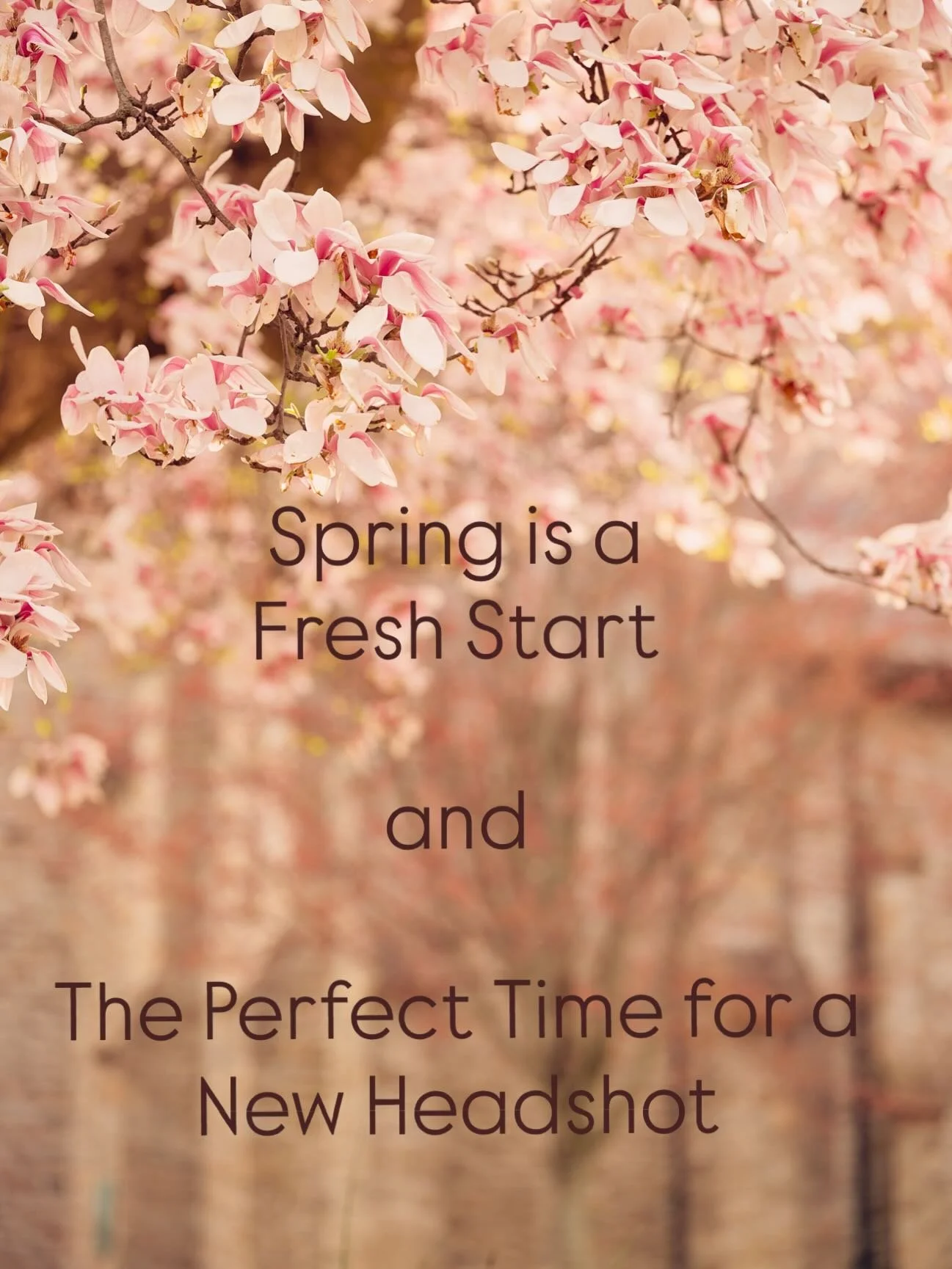 Spring always feels like a fresh start to me (especially this year after our winter).

New energy, new ideas&hellip; and often a moment to update how you&rsquo;re showing up.

If your headshot doesn&rsquo;t quite reflect who you are right now, this i