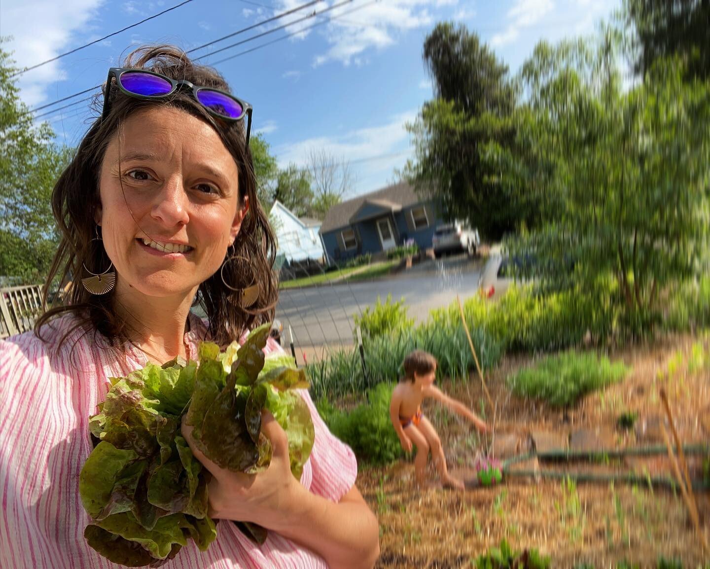 First things first. For me, getting home from a spring tour means heading to my front yard to pick greens. And of course, getting out the sprinkler. 

It&rsquo;s like walking into the future to get home after 10 days and see how each plant doubled in