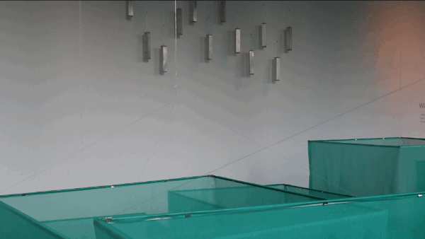 wf7.gif