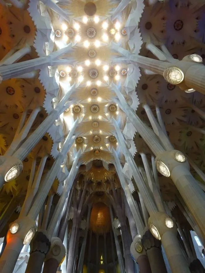 Gaudi 2.jpg