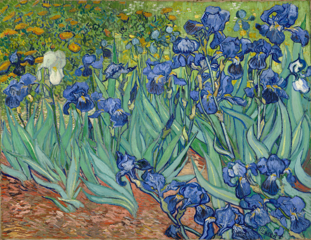 Van Gogh 3.jpg