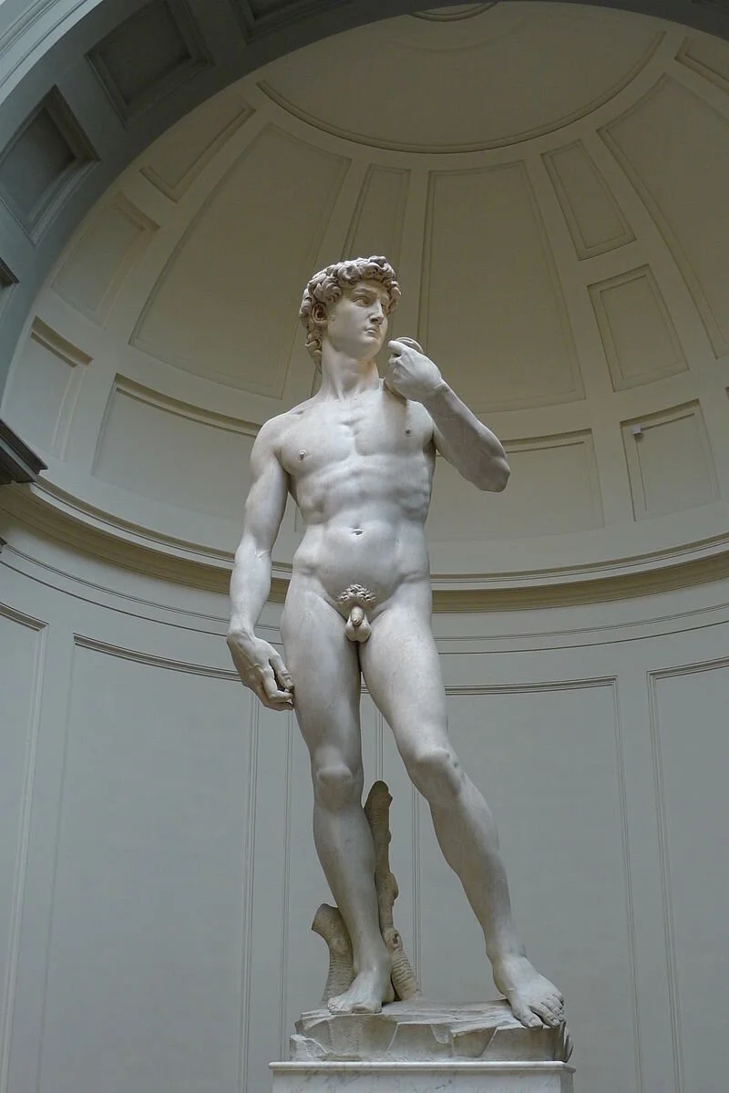 Michelangelo's David, c. 1504