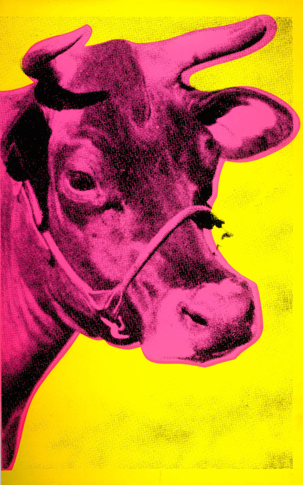 4_Andy_Warhol_Cow_1966_AWF.jpg