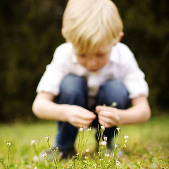 Our image of the child...