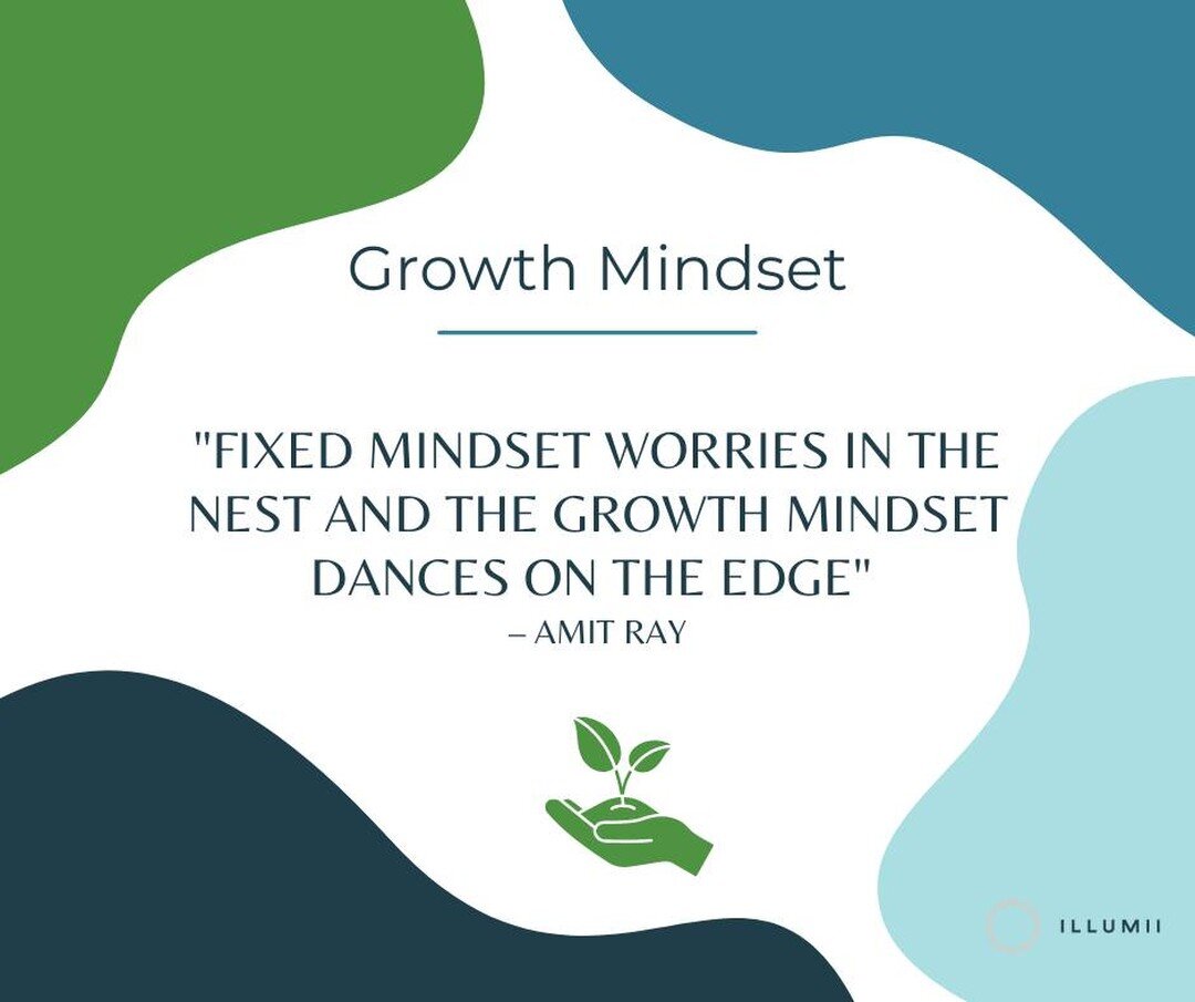 We can cultivate two different mindsets. One mindset accepts problems as opportunities to learn, and one mindset that avoids problems, often out of the fear of failure. Those who avoid conflicts can be thought of as having a fixed mindset. Those who 