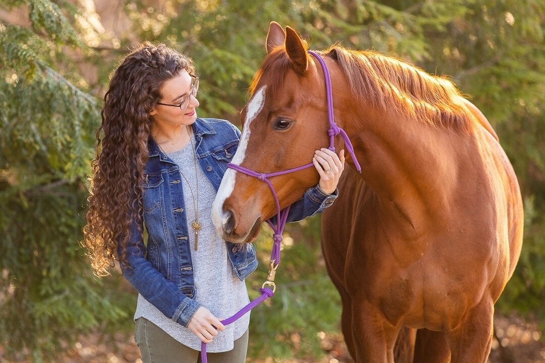 Have you had a trip or two (or 2 dozen...) to the barn that just ended with tears? Do your riding goals sometimes feel like climbing Mount Everest instead of steadily improving one ride after another like you had hoped? Mine too friend, mine too. The