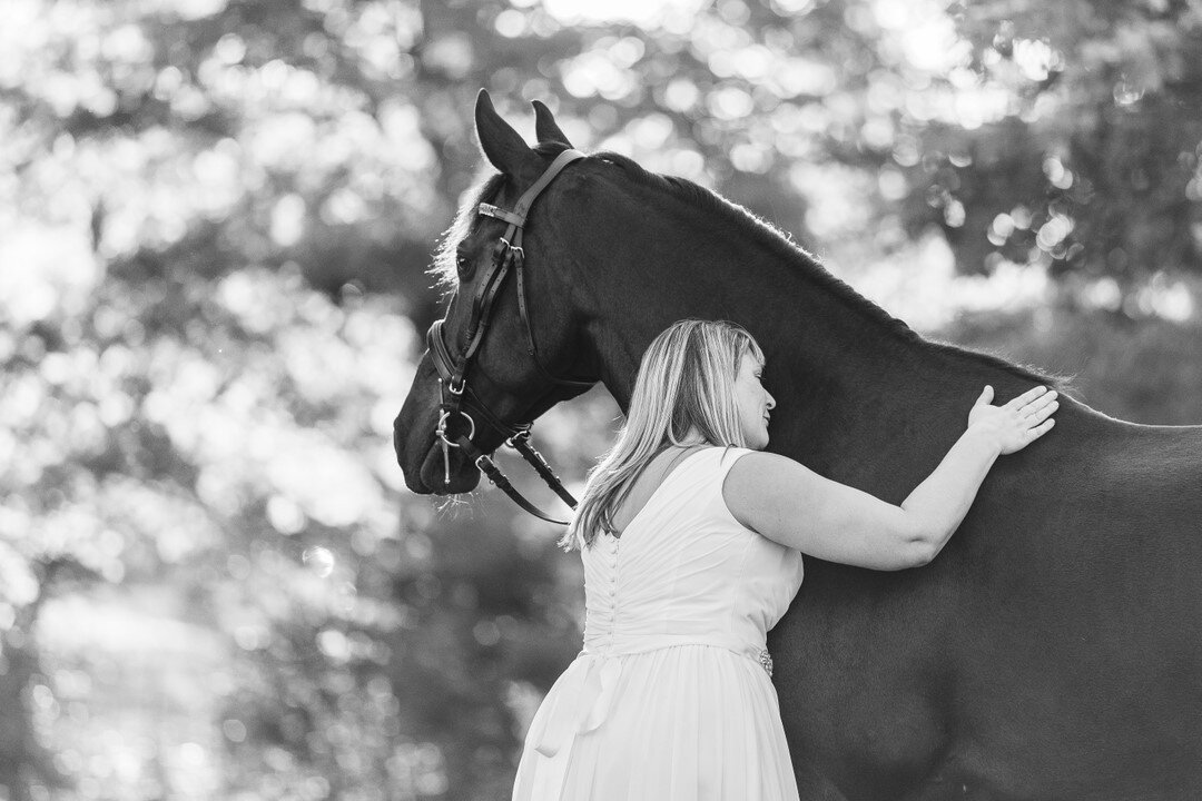 This is your reminder that a portrait session with your horse is a WONDERFUL reason to wear your wedding dress again for some magical photographs. 💕✨