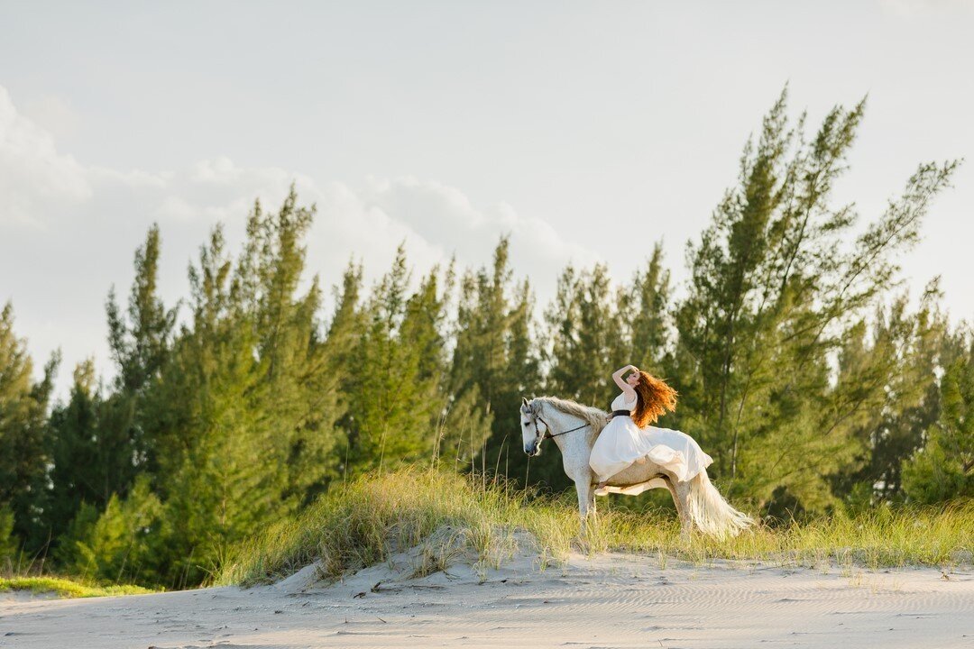 &ldquo;In riding a horse, we borrow freedom.&rdquo; -Helen Thompson