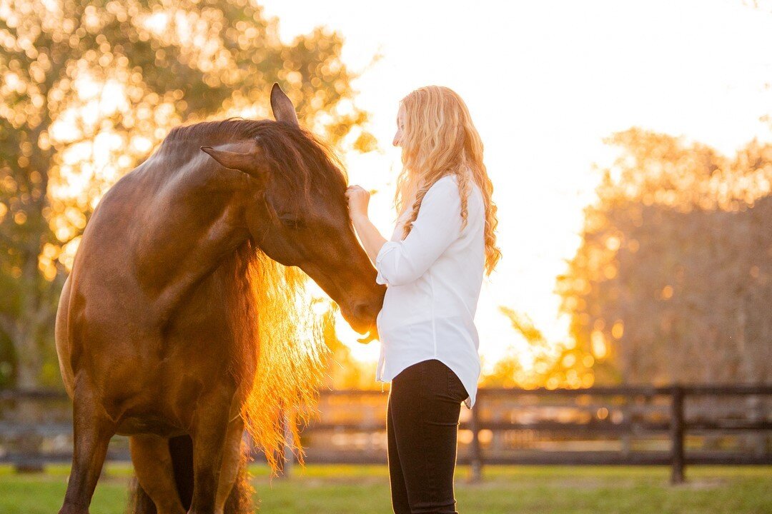 Magical summer nights are on their way! In the meantime, I'll spend this rainy day dreaming of golden Florida evenings. ✨