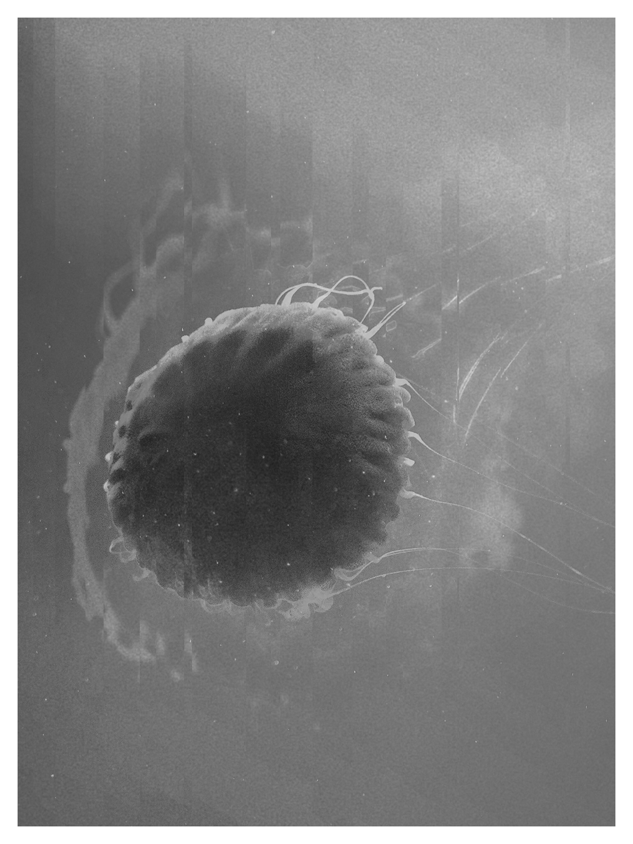 BDC_daily_080118_WEB.png