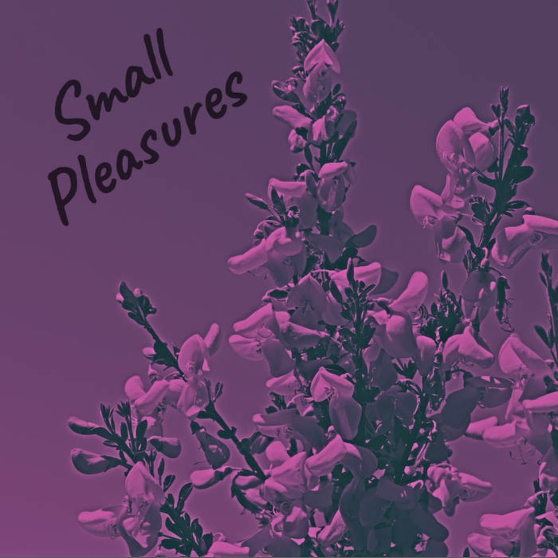 Small Pleasures