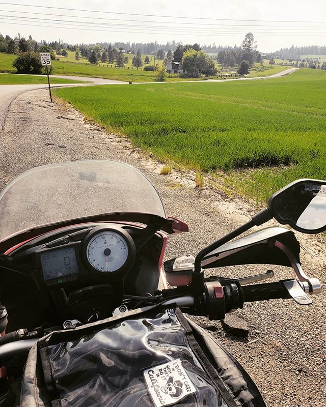 It's been hitting the 80's here in #thegreatpnw which means everything is GREEN. (And most of the winter sand is off the of the roads)
.
.
.
#multistrada #hepcobecker #green #makeeveryridecount #madeforadventure #revermoto #bigdspeedshop #wolfmanlugg