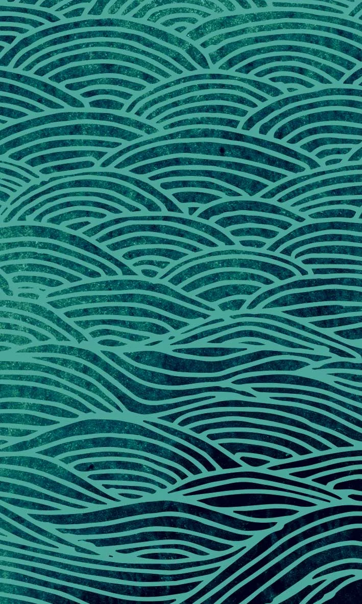 octopin card back.jpg