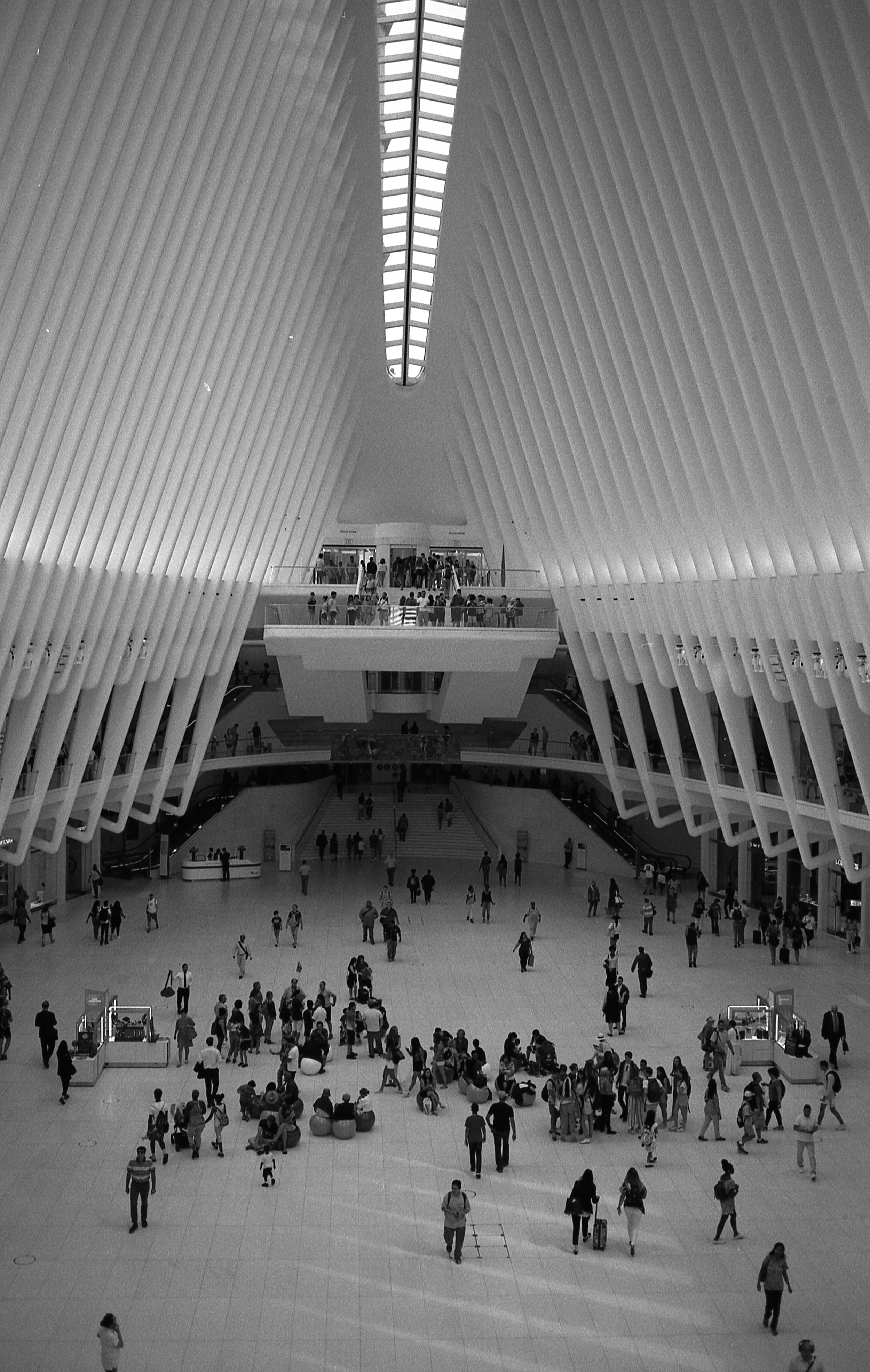 Oculus