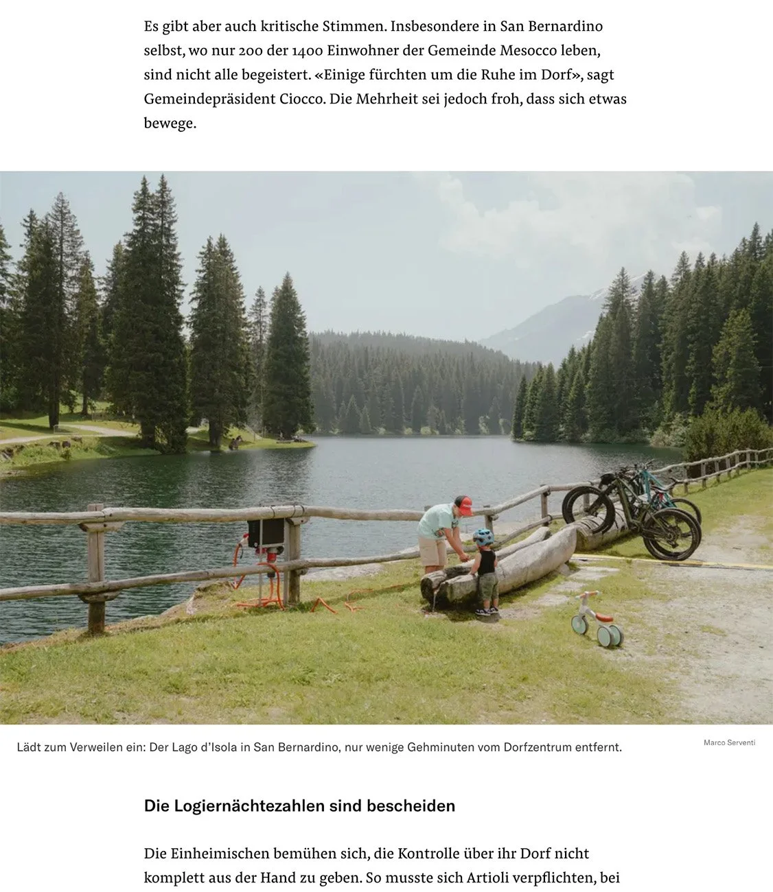 NZZ 3.jpg