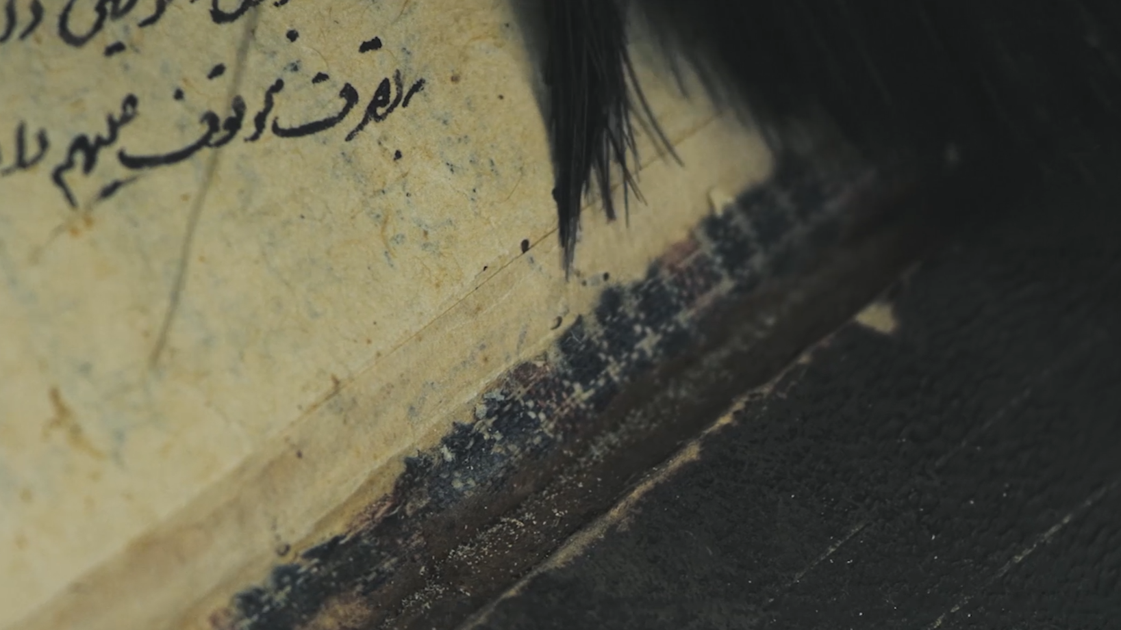 TBC Art Documenting Art