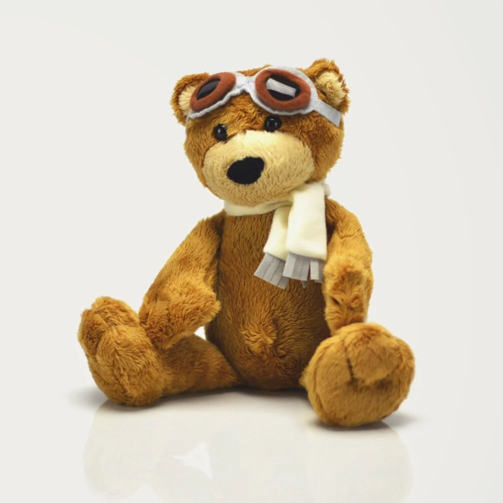 Teddy Bears Picnic - Plunket