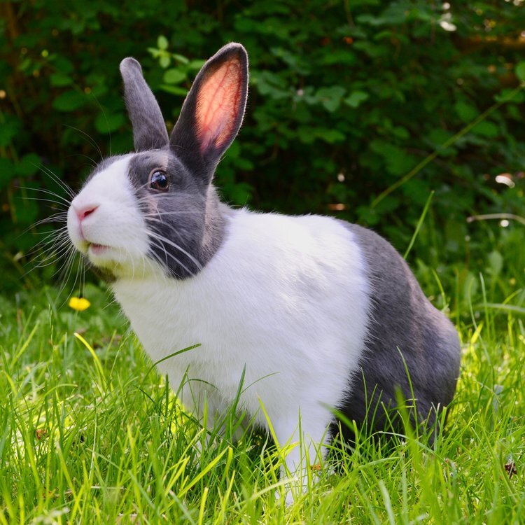 image-asset (2).jpeg