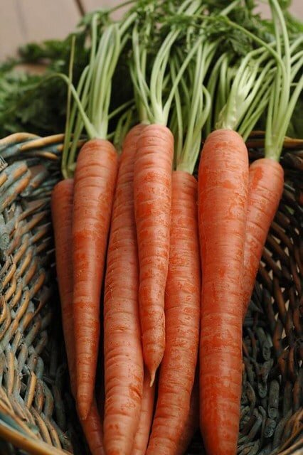 Honey-Roasted-Carrots-8.jpg
