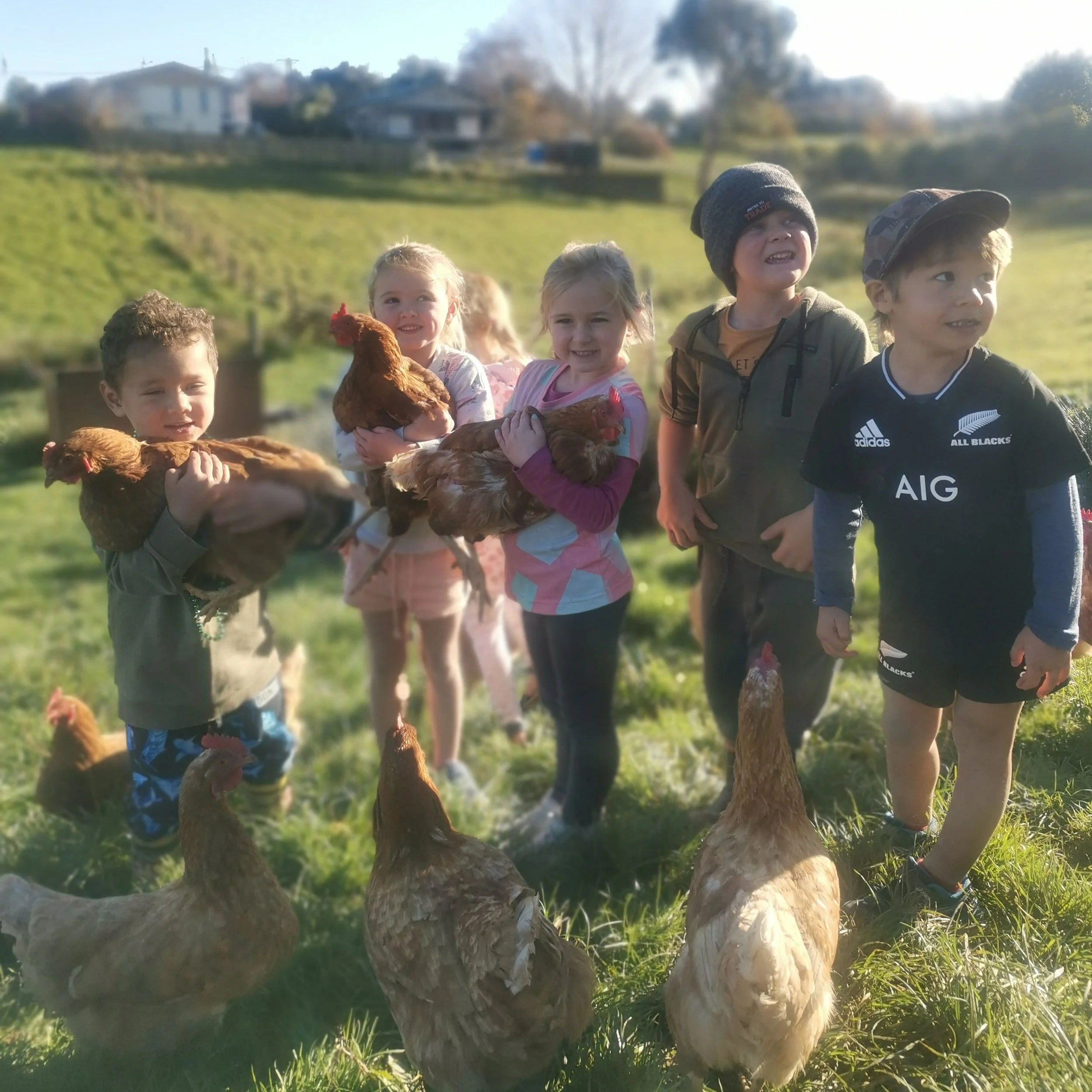 The Learning Barn