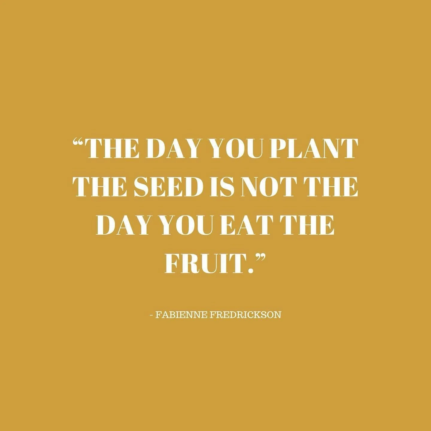 Here&rsquo;s a reminder today that work and practice are an investment into what we want to grow. It takes time. Keep at it! 
.
Keep practicing. Keep working. Keep trying. It will grow. 🌱
