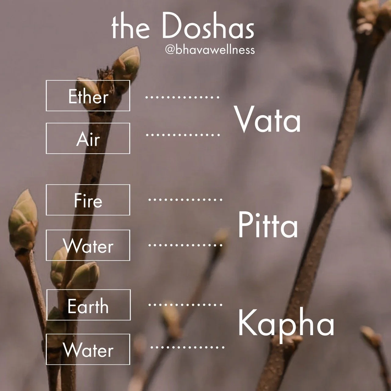 the 5 elements that make up the Doshas