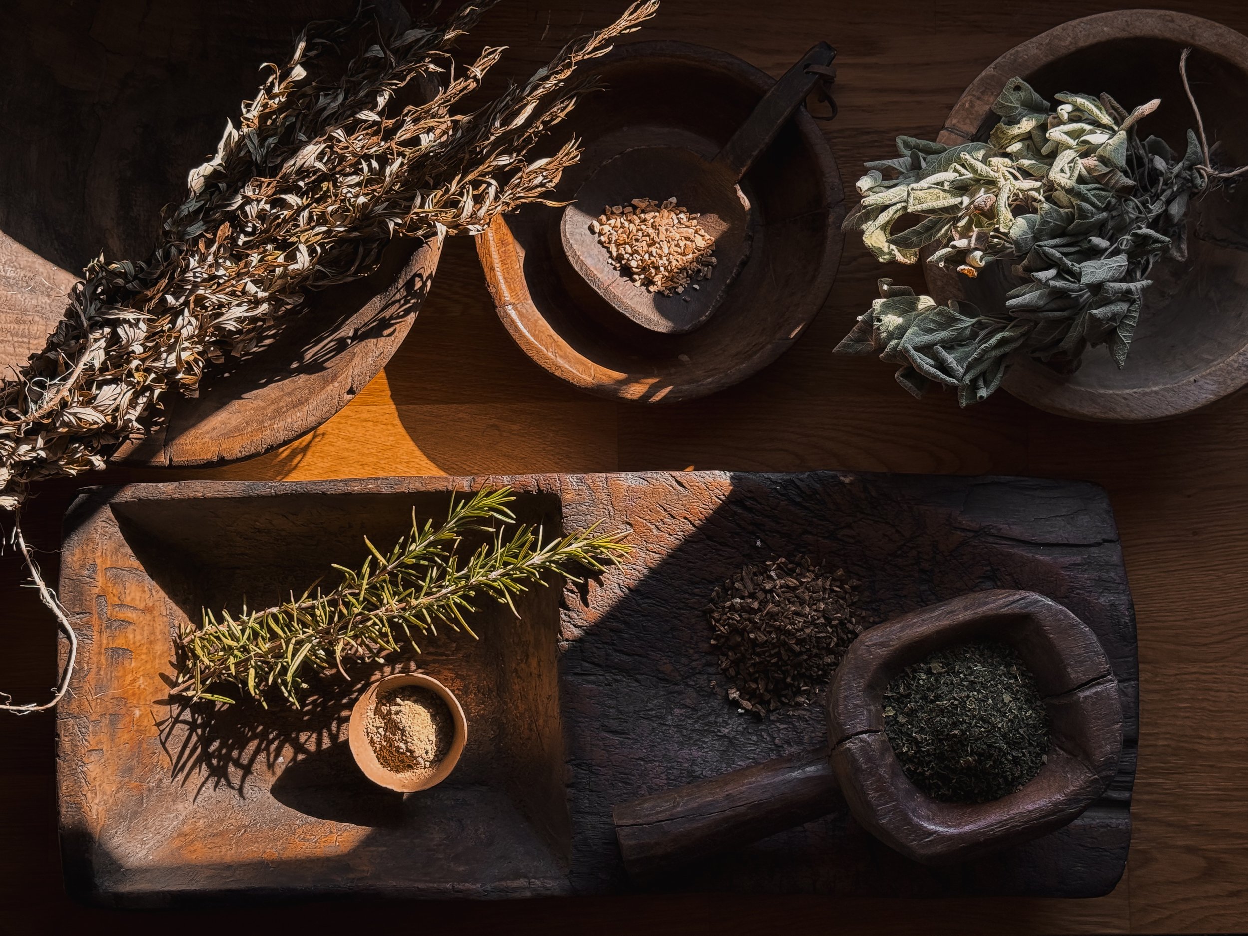 herbs drying in my studio