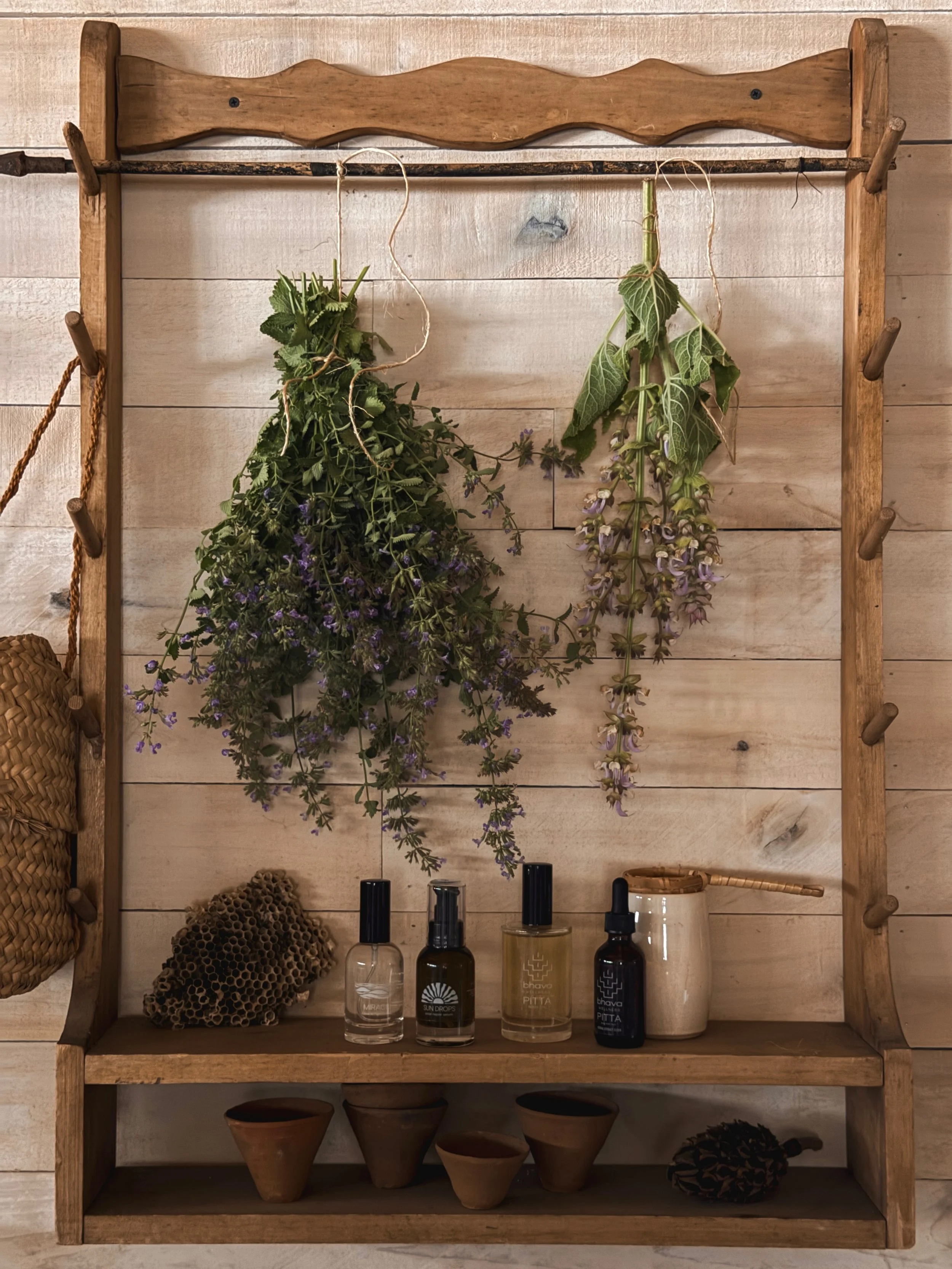 herbal remedies for Summer Wellness and Summer skin