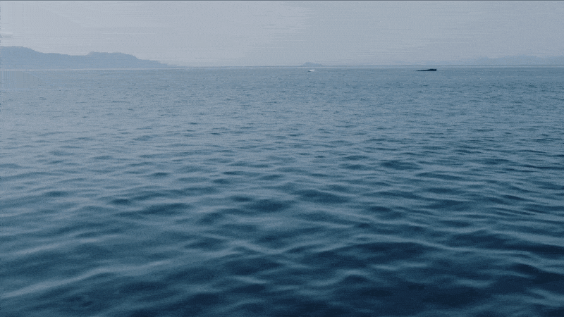 image.gif