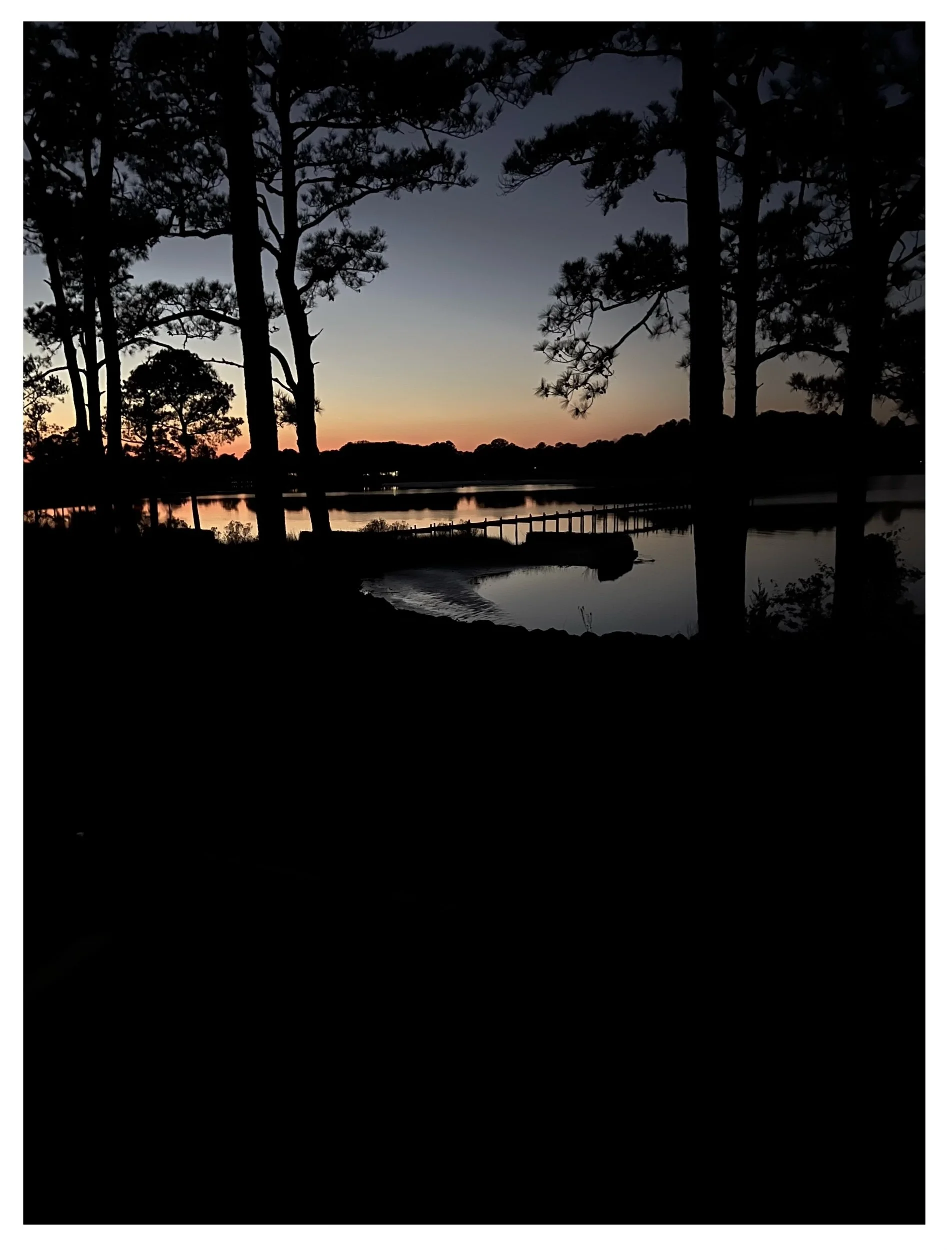 Winder Creek. Hudgins, Virginia. (2025)