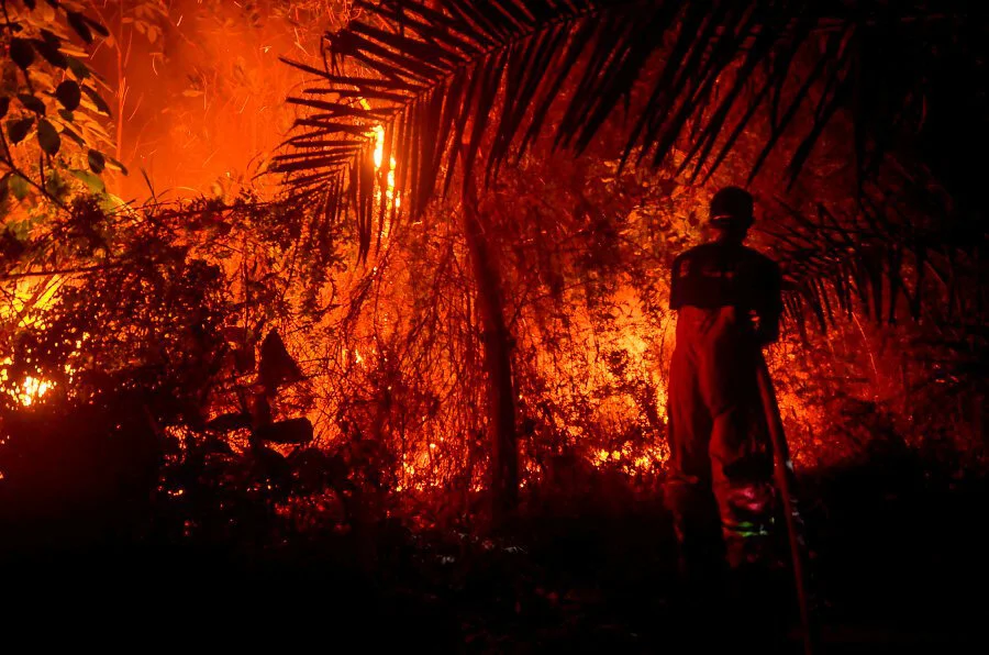 Firefighters battling a forest fire near Pekanbaru, Riau. - Indonesia is battling forest fires causing toxic haze across Southeast Asia -AFP
