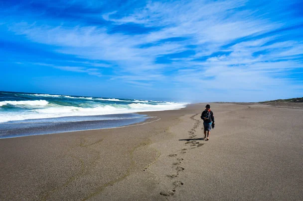 Tell me you’re not ready to write a book after a walk on a beach like this.