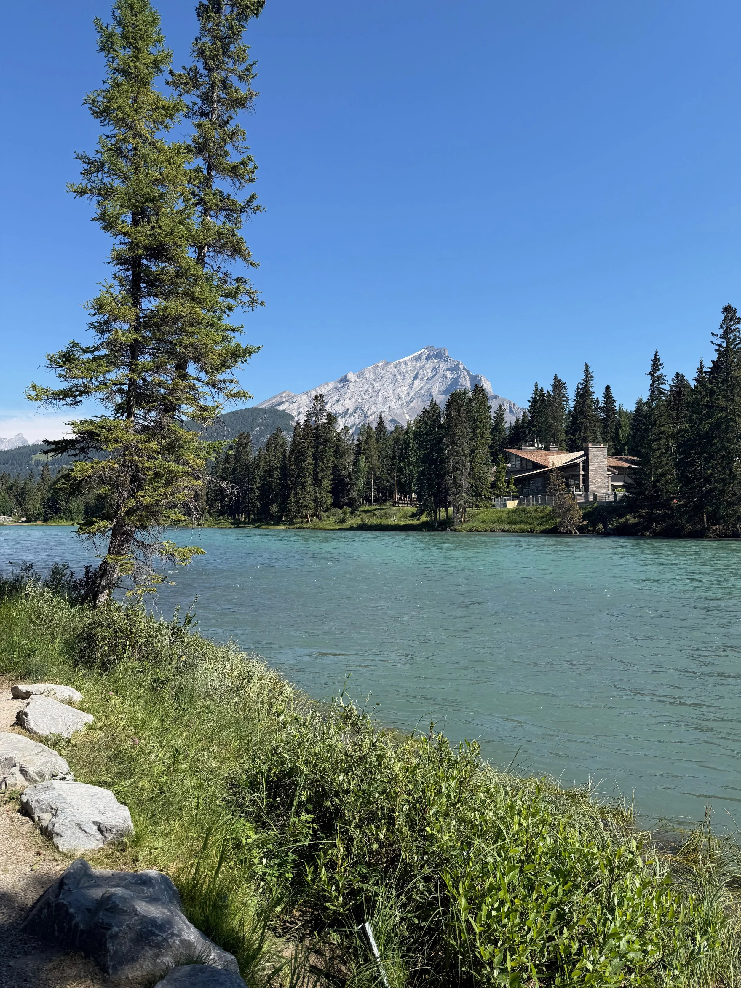 IMG_1911.jpeg