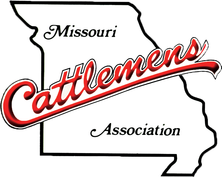 digitized-logo-no-background.png