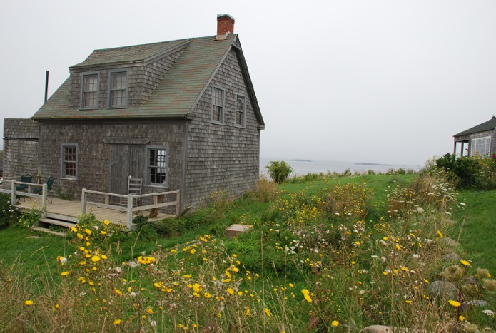 House wildflowers.jpeg