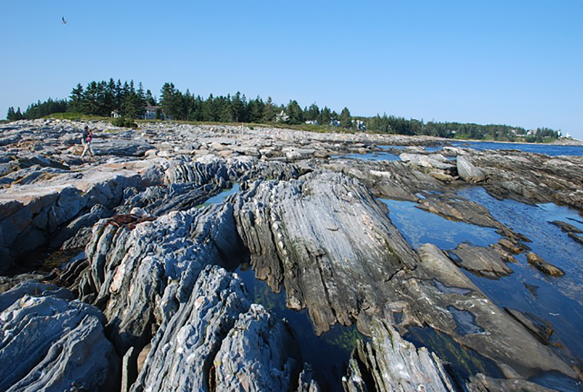 Pemaquid Point rocks.jpg