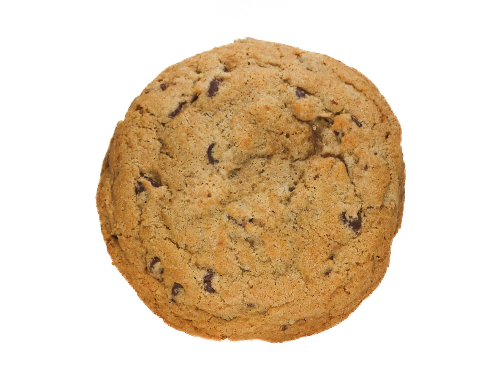 Chocolate Chip Cookie.png