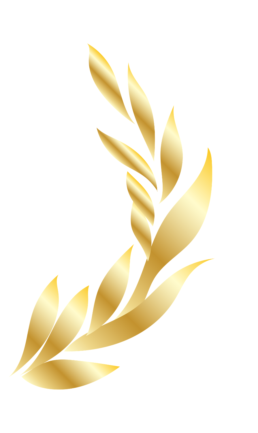 Glutenus Maximus Bakehouse