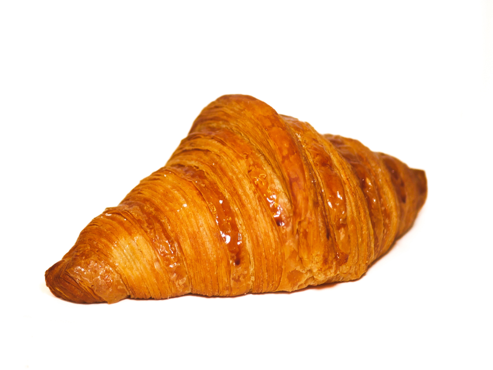 Butter Croissant