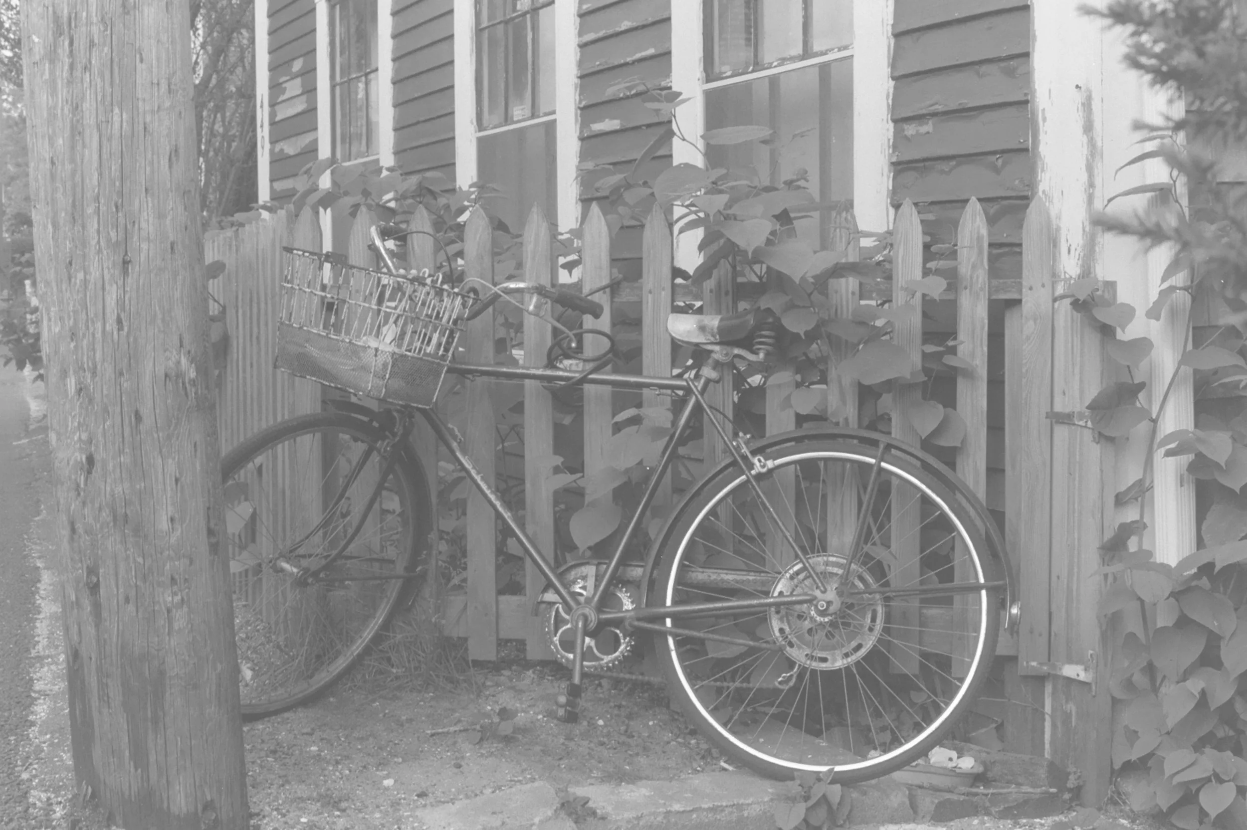 hightown_starz_SA_capecodW032.jpg