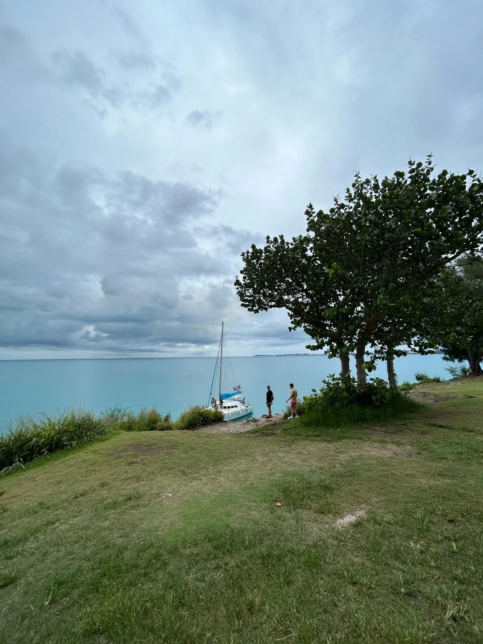 D4BE1EE1-A99A-4498-BB50-1F847FE1F01C.JPG