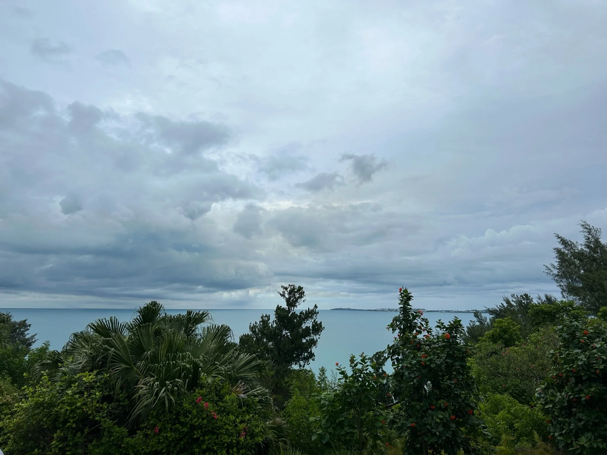 C92DF7CC-36F0-445E-86EE-A79A77E7ABF9.JPG