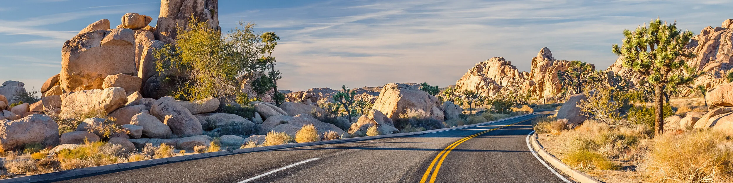 A Snapshot: How Summer Travel is Changing 