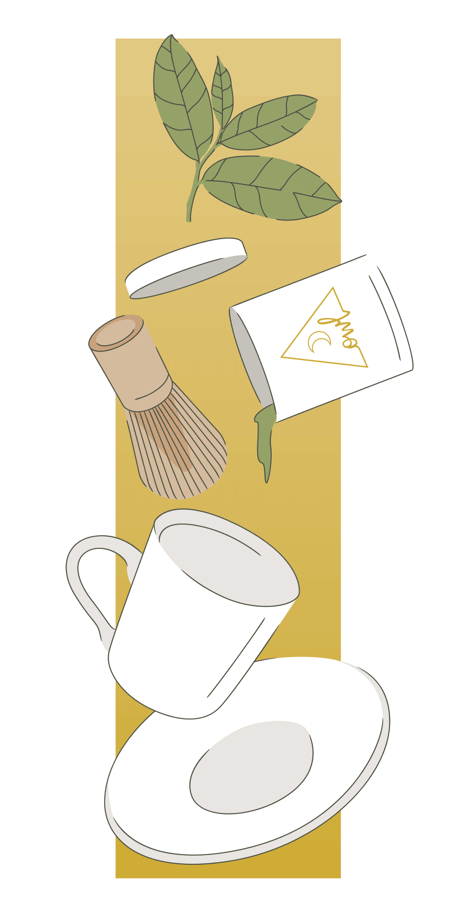 CBW-SC-OWL-Venice---IGP-Matcha-01.gif