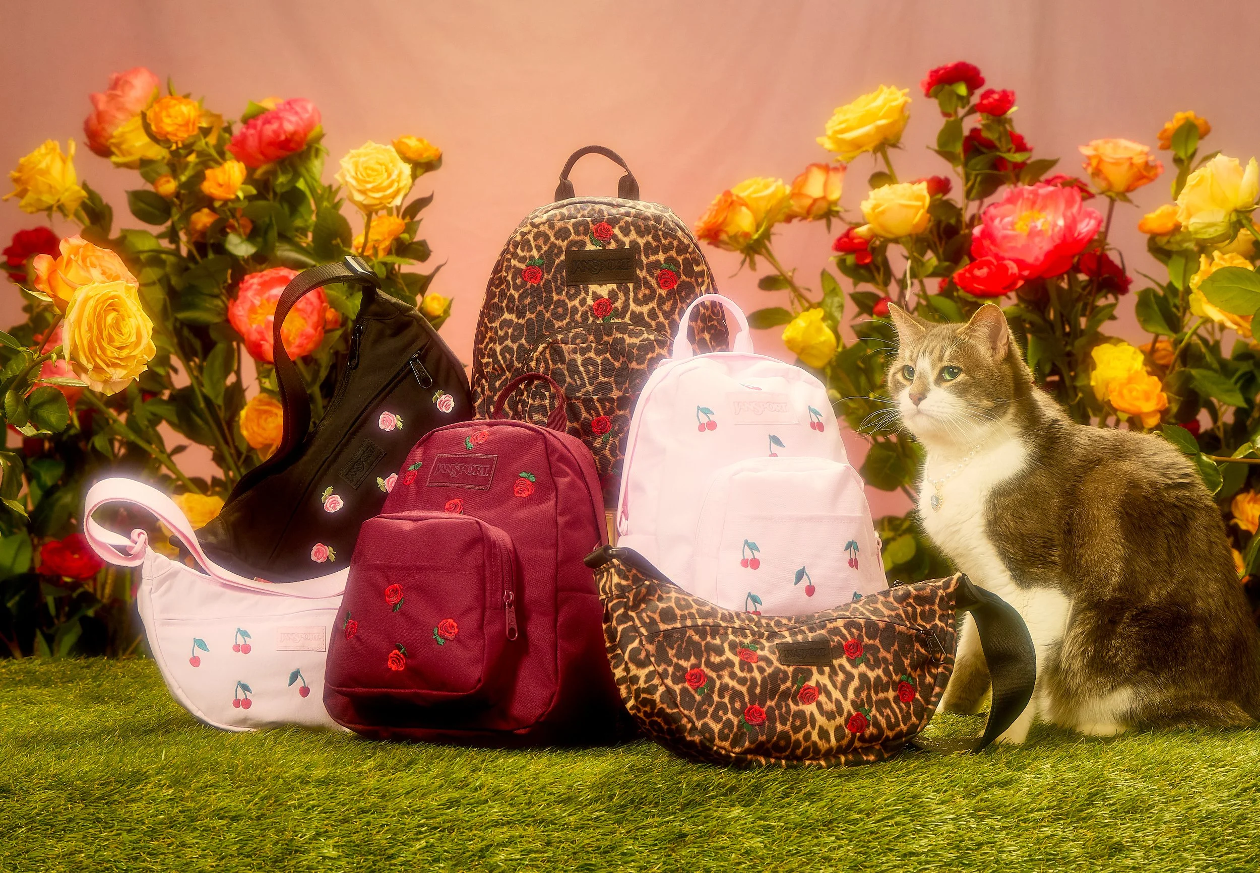 JanSport_Valentines_11-6-252349-Collection-3.jpg