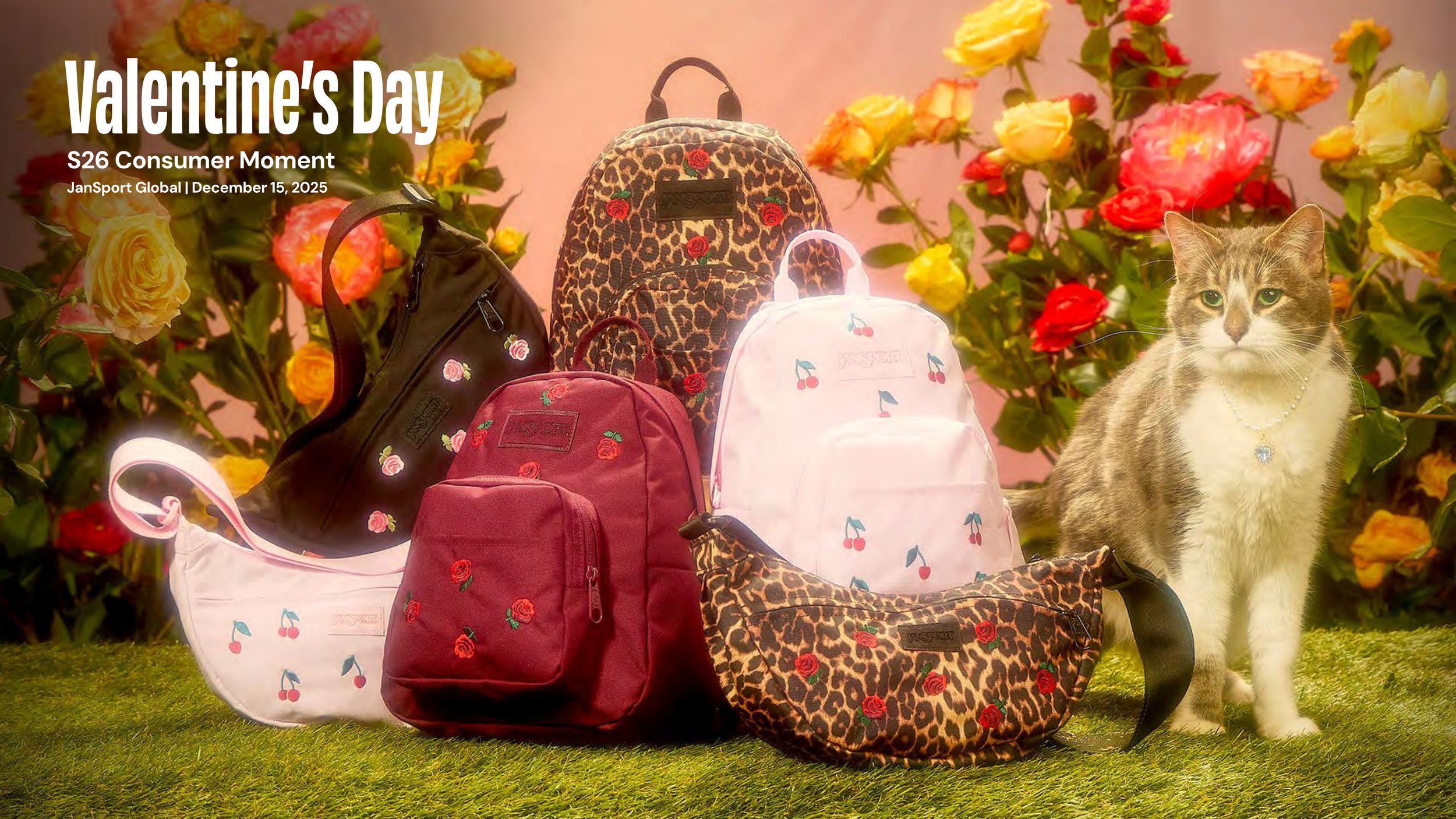 JanSport_Valentines_ToolKit.jpg