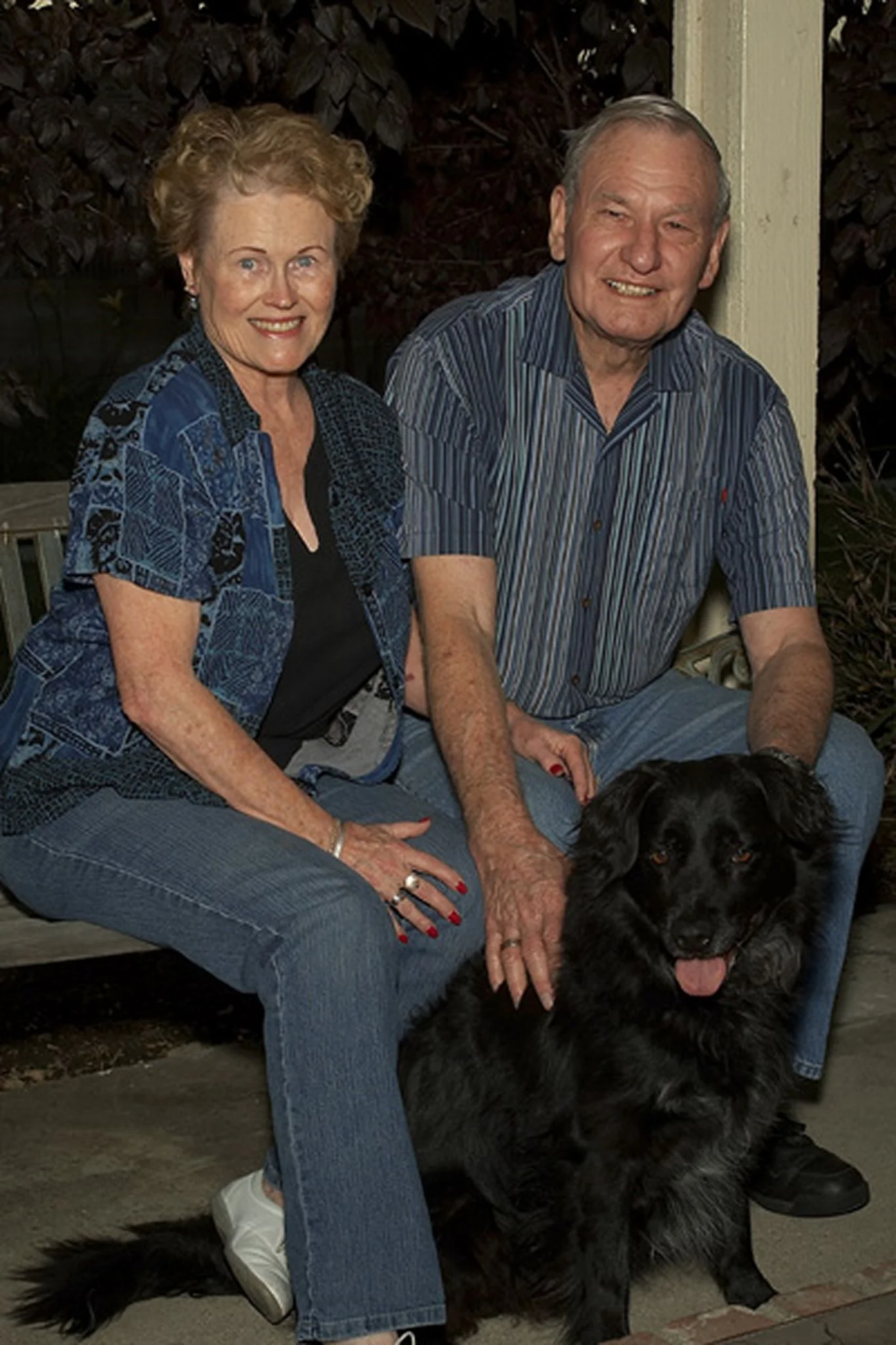 pets01.jpg