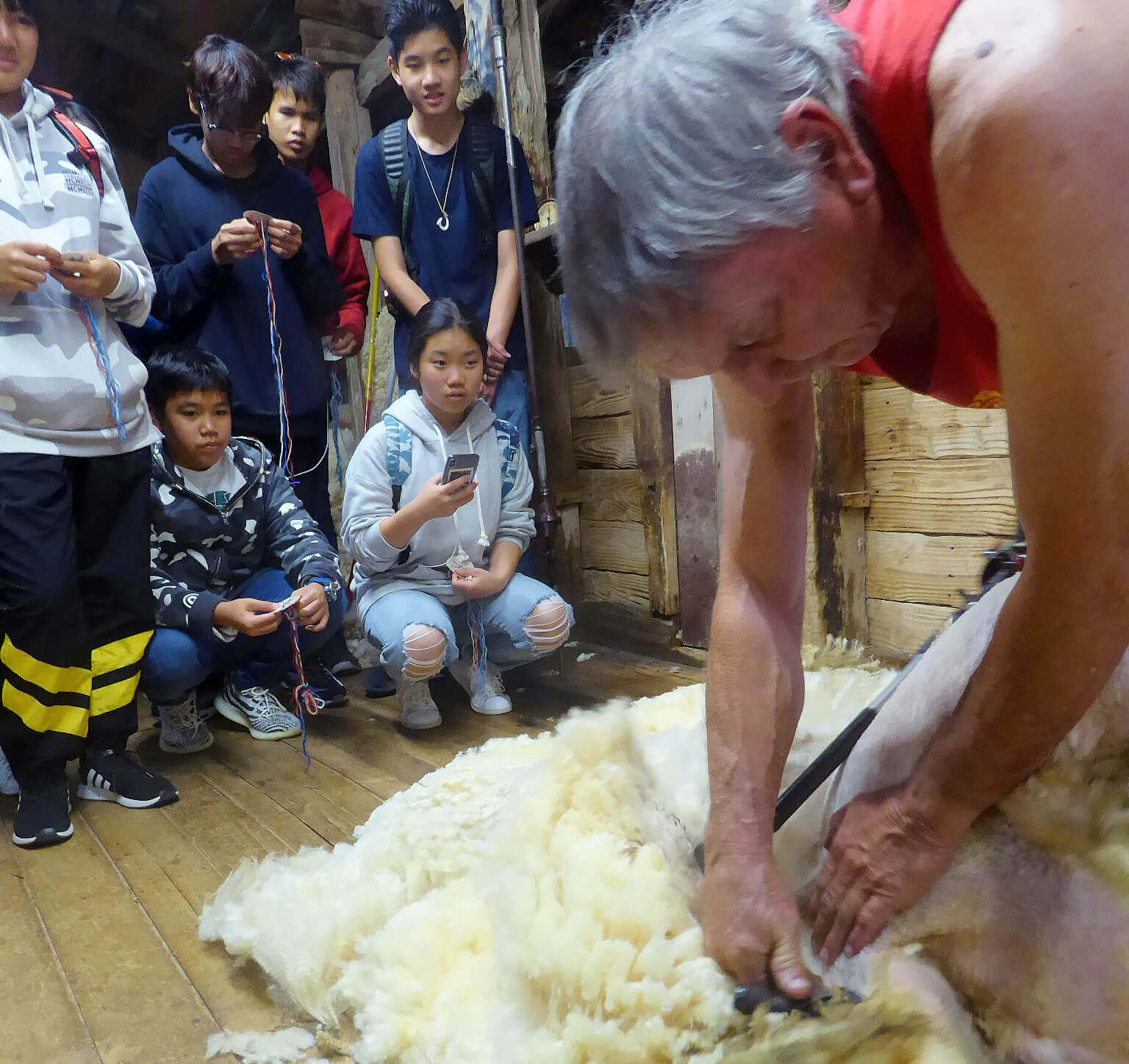 Graham Checkley shearing demo square tinypng 20190503.jpg