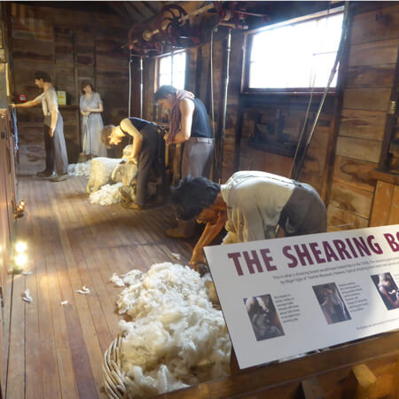 Shearing board sq.jpg