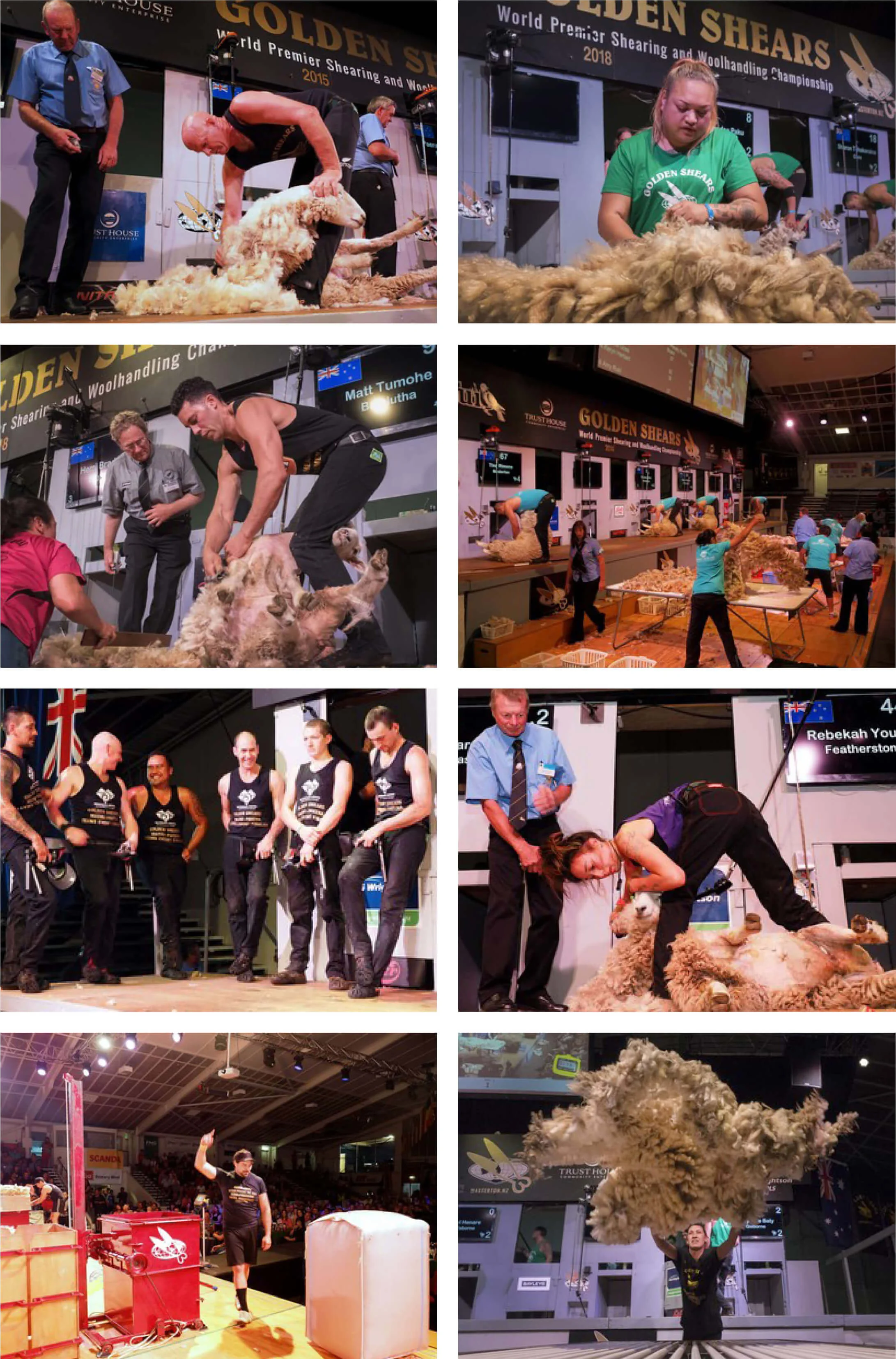 Scenes at the Golden Shears event in Masterton. At top left is David Fagan, the world’s greatest-ever competition shearer. He has won the open title fifteen times.